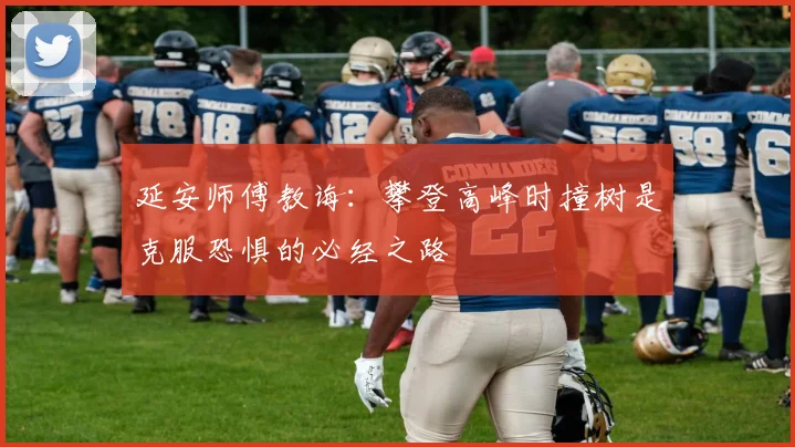 延安师傅教诲：攀登高峰时撞树是克服恐惧的必经之路