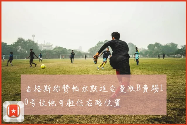 吉格斯称赞帕尔默适合曼联B费踢10号位他可胜任右路位置