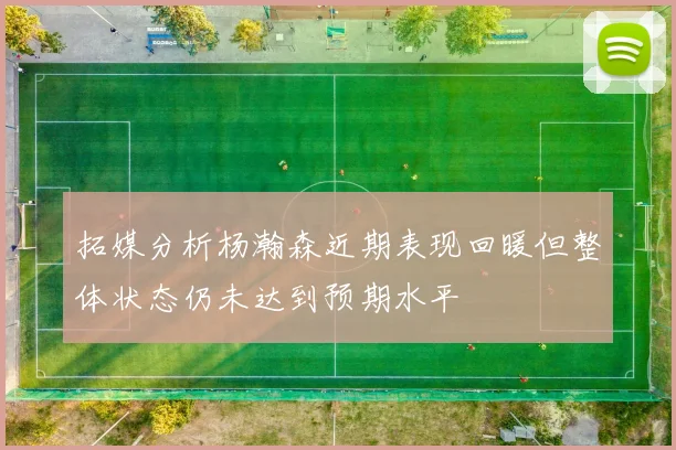 拓媒分析杨瀚森近期表现回暖但整体状态仍未达到预期水平